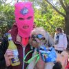 Photos: Dogtor Zizmor, Spring Barker And More Pups At Tompkins Square Park Halloween Dog Parade